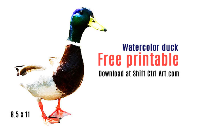 water color duck free printable 1