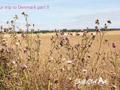 Our trip to Denmark - part II of II