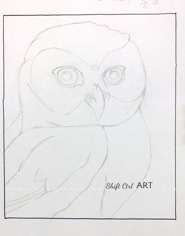 Owl pastel drawing