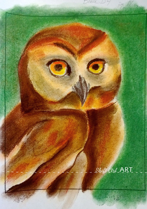 Owl pastel drawing