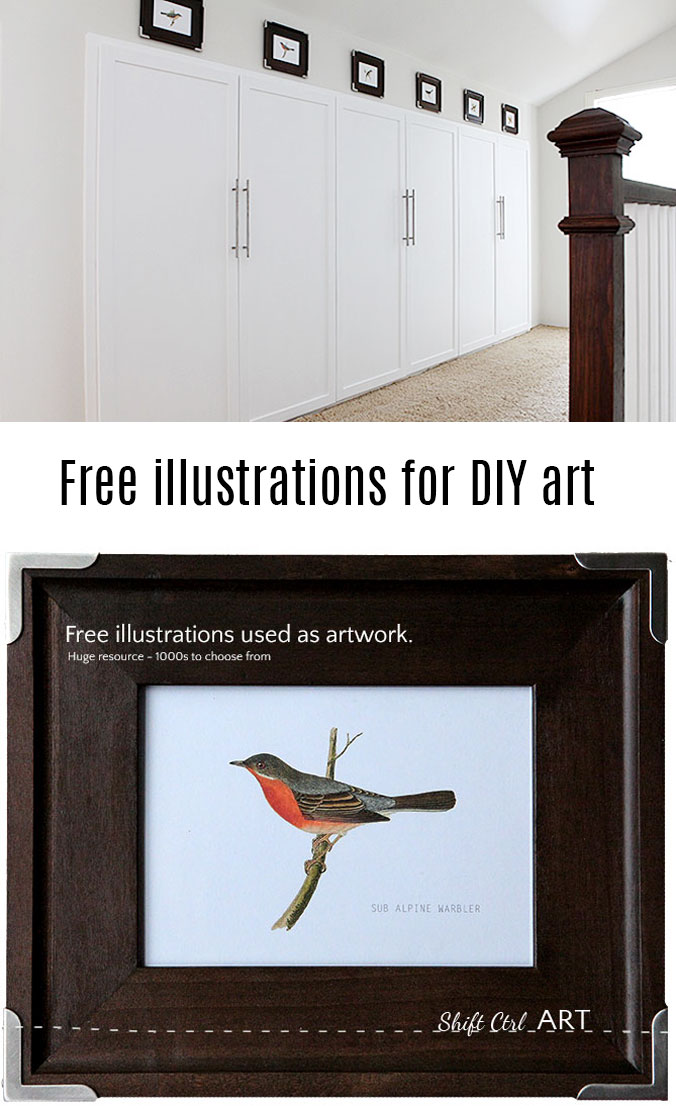 Huge resource for #free #art. 1000s of birds and animal drawings