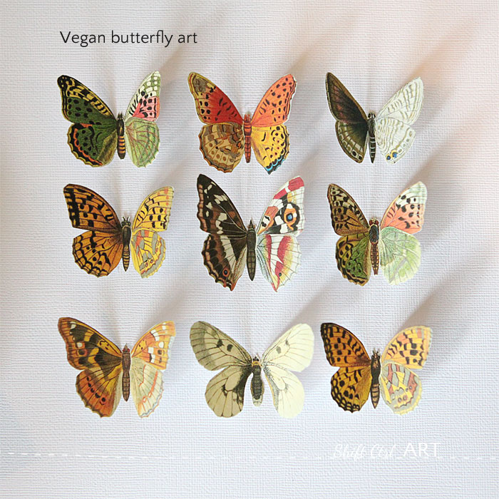 Vegan butterfly framed art paper craft 1