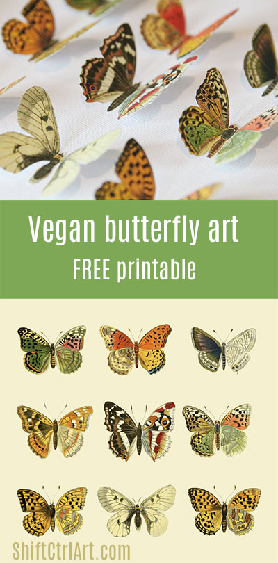 #Vegan #butterfly framed #art #paper #craft #free #printable