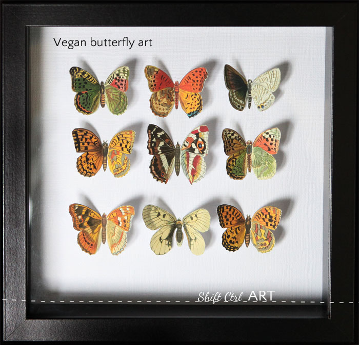 Vegan butterfly framed art paper craft 1