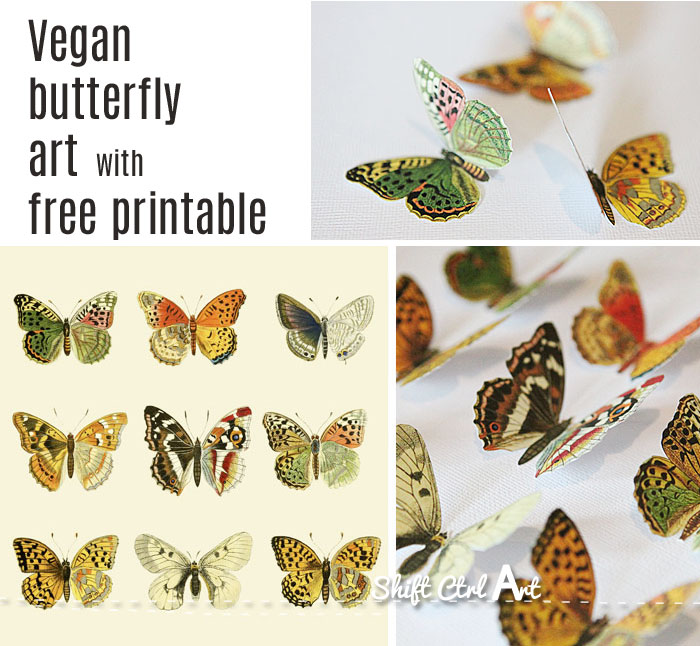 #Vegan #butterfly framed #art #paper #craft #free #printable