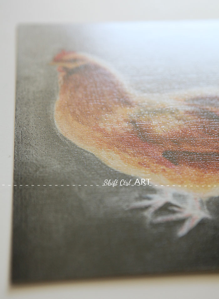 Chicken pastel drawing steps 1