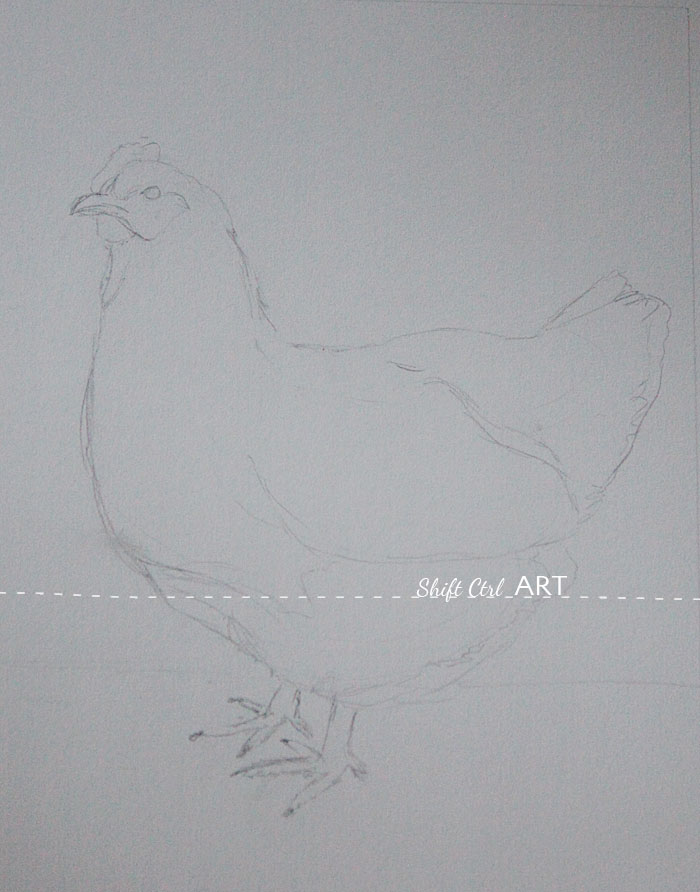 Chicken pastel drawing steps 1