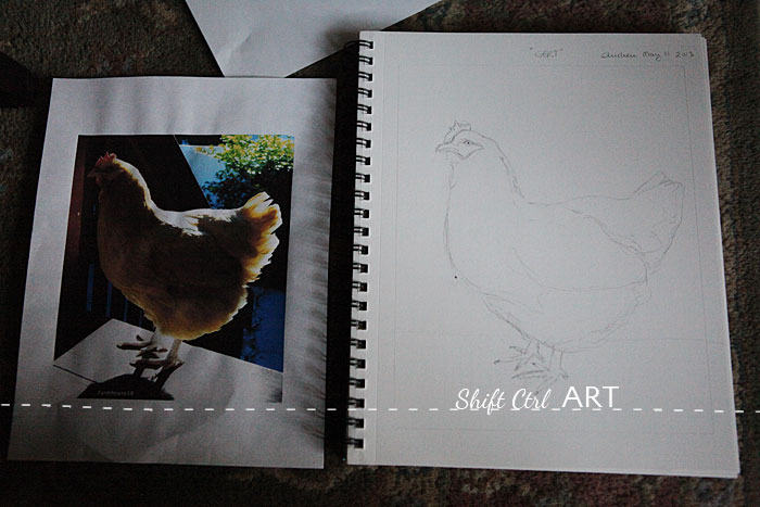 Chicken pastel drawing steps 1