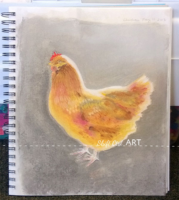 Chicken pastel drawing steps 1