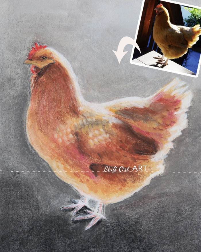 Chicken pastel drawing steps 1