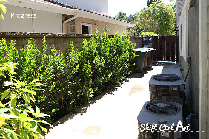 Kitchen view hedge 1