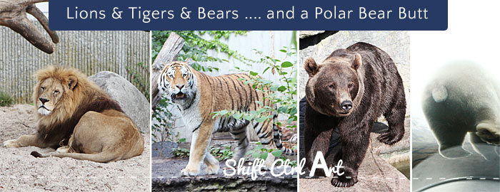 Lions, Tigres and Bears