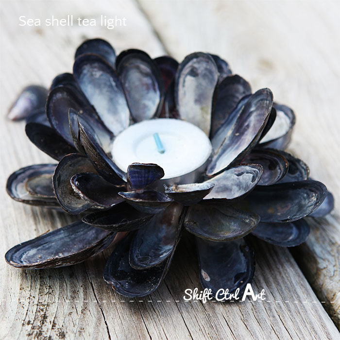 Sea shell tea light sunset Denmark 1