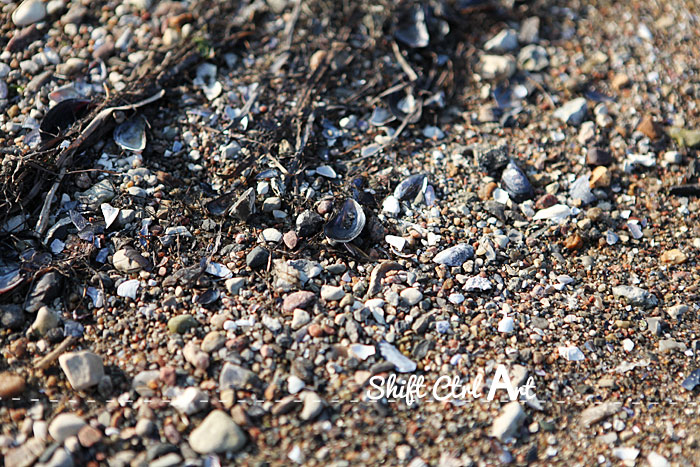 Sea shell tea light sunset Denmark 1