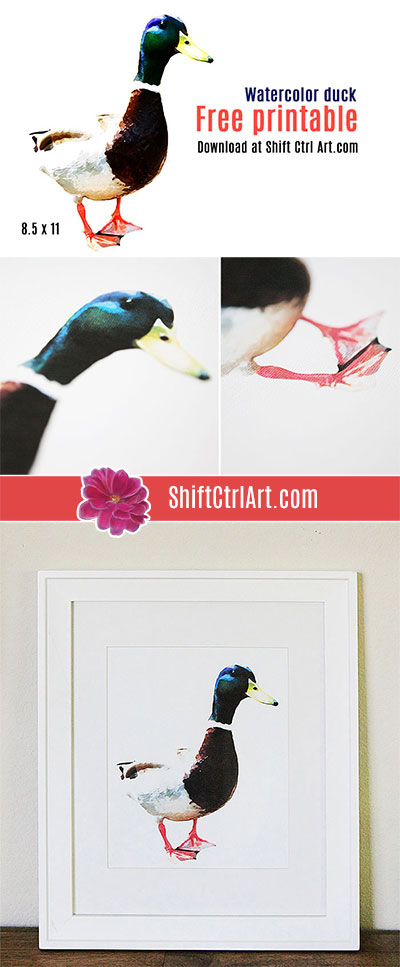 #watercolor #duck #free #printable #art