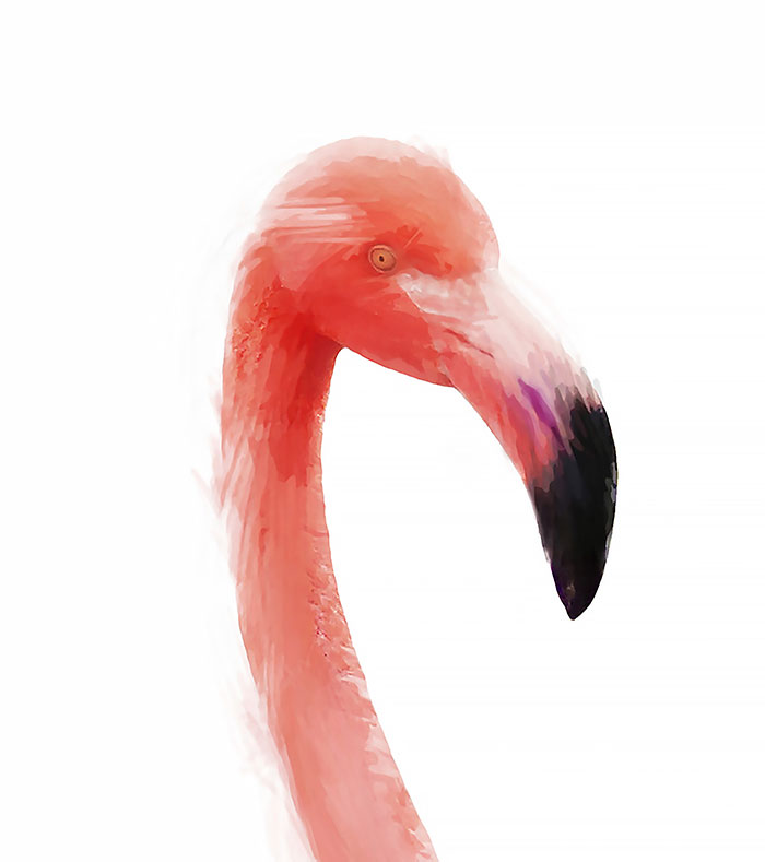 Flamingo art made with Psykopaint - a free resource