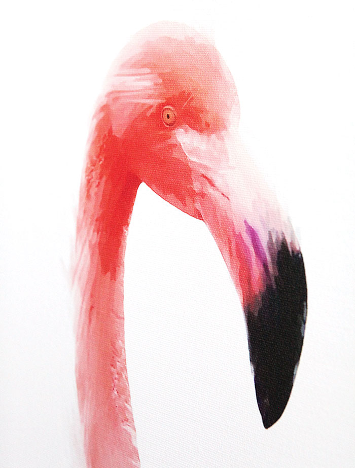 Flamingo 3