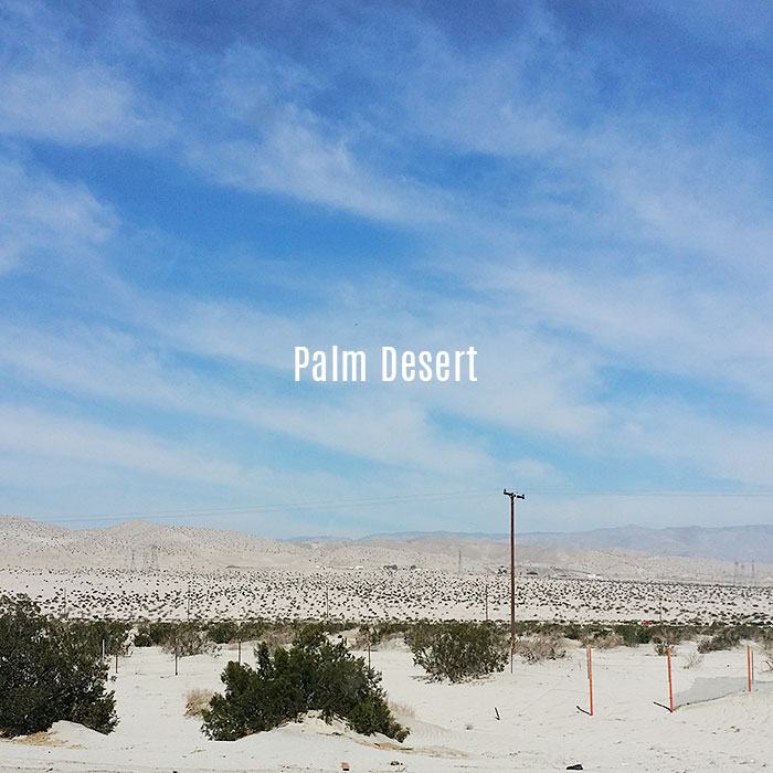 Palm desert 1