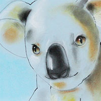 Koala - pastel