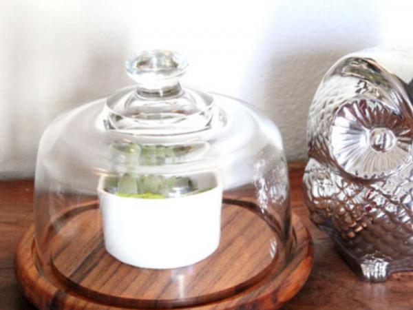 15 minute make-over thrift find: No more cheesy bell jar
