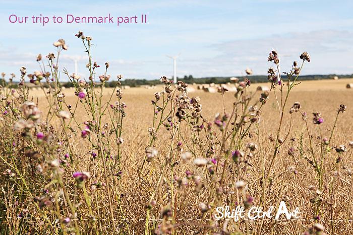 Our trip to Denmark - part II of II