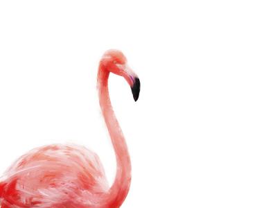 Flamingo art made with Psykopaint - a free resource