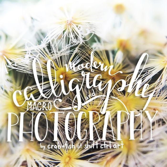 Great find: Modern calligraphy and macro photography with Mari Orr