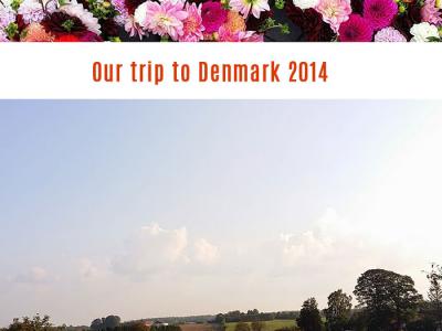 Our trip to Denmark
